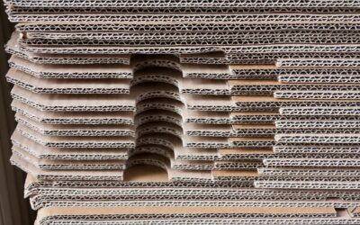 Gruppo Pro Gest – Situazione aziendale