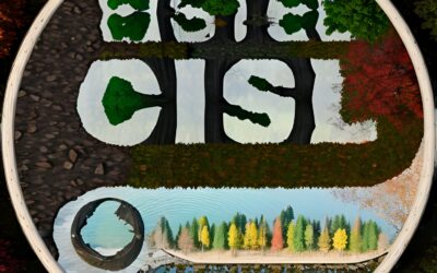 Vodafone – Informativa aziendale cops e customer fullfilment